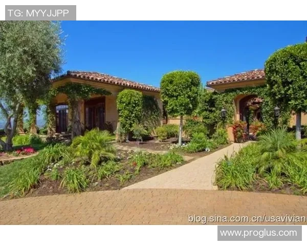 足球明星的居住小区揭秘你不知道的豪宅生活与社区环境